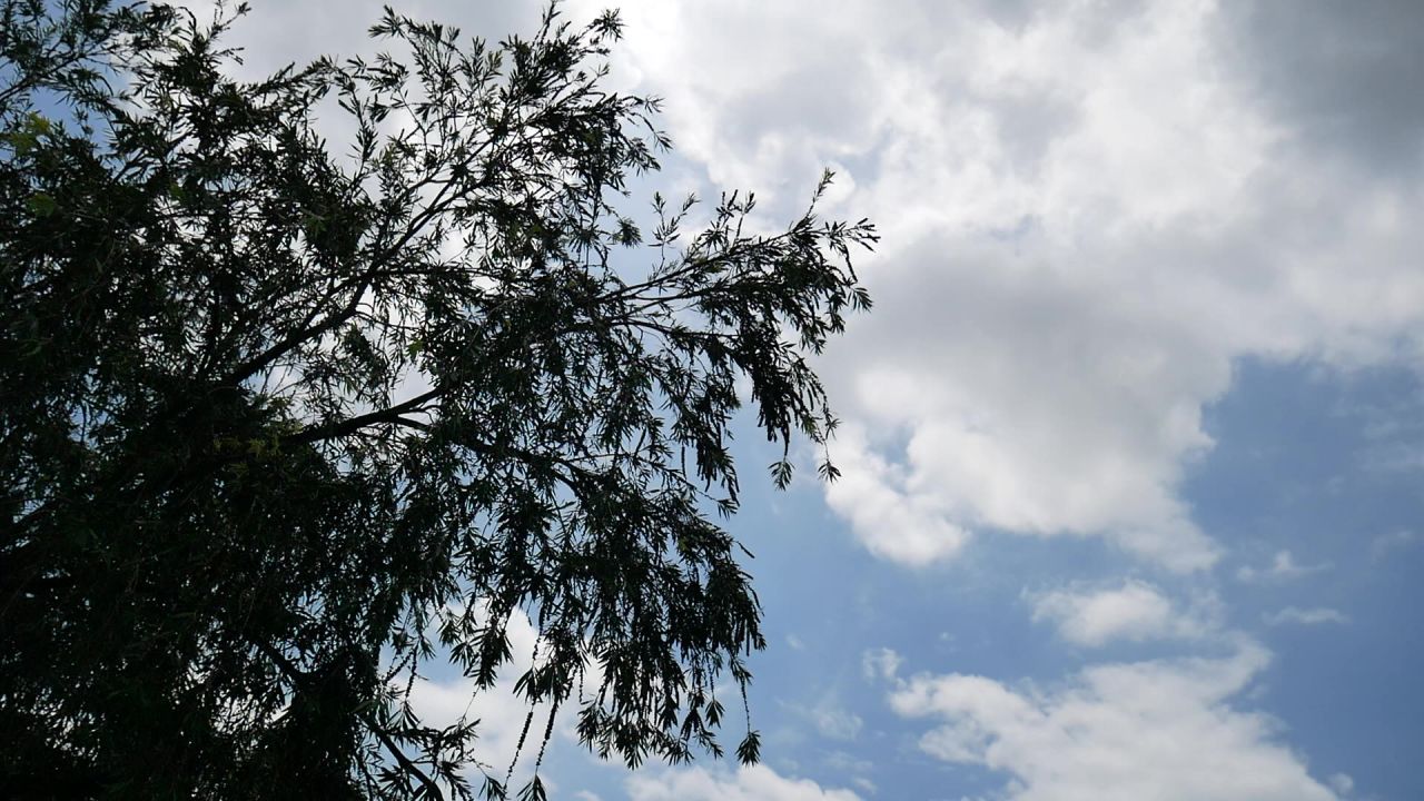 天空有朵乌云