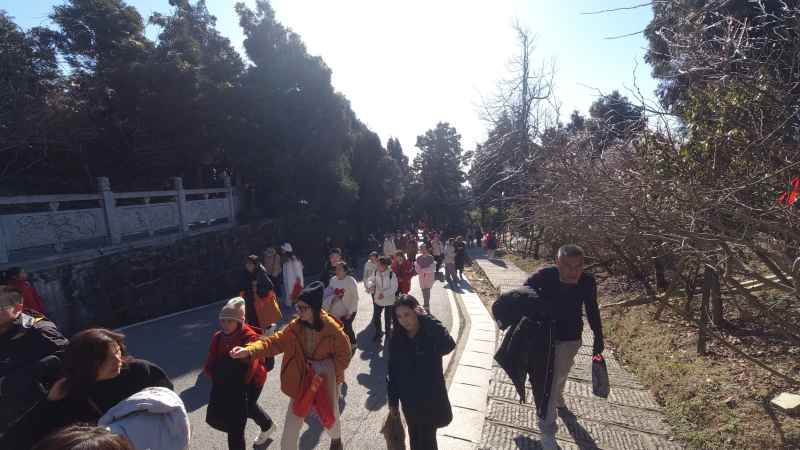 寺庙 3