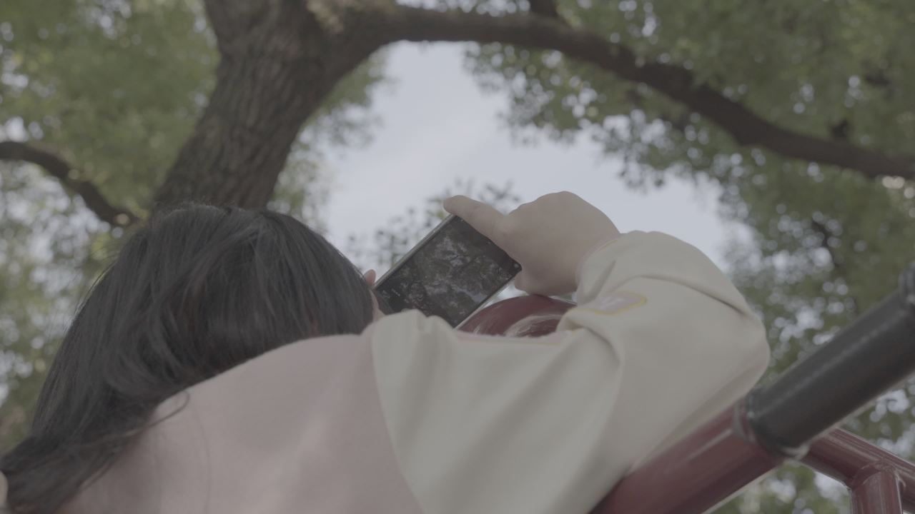 人文 16