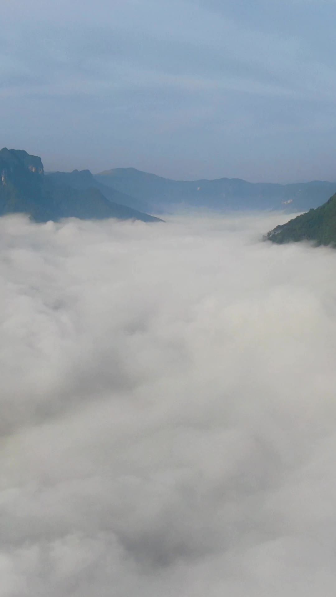  高山峡谷清晨云海迷雾竖屏航拍