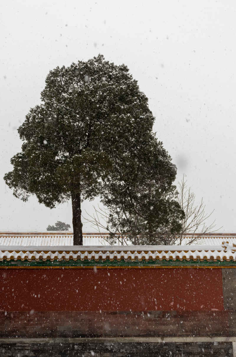 雪中故宫·9
