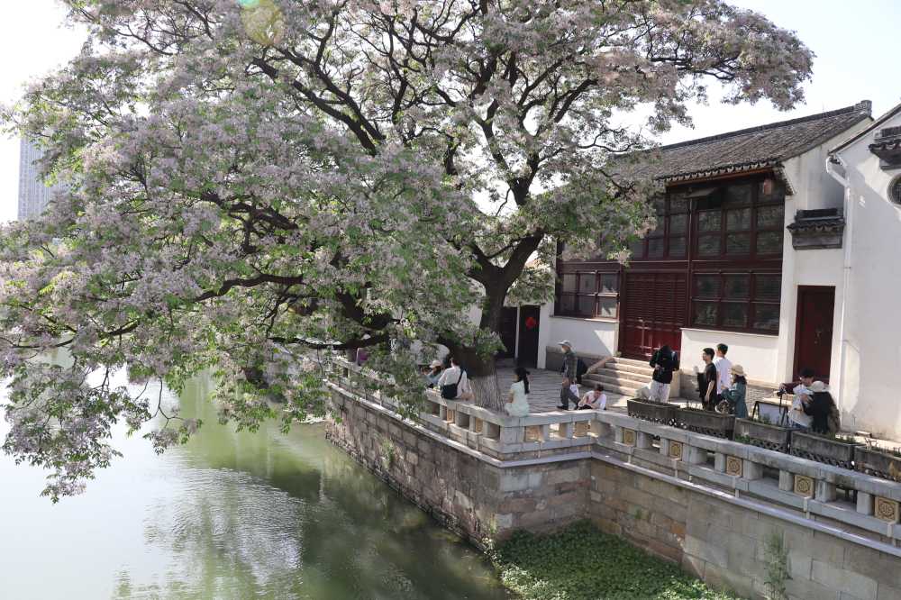 南市河畔，鲜花映衬下的古建筑