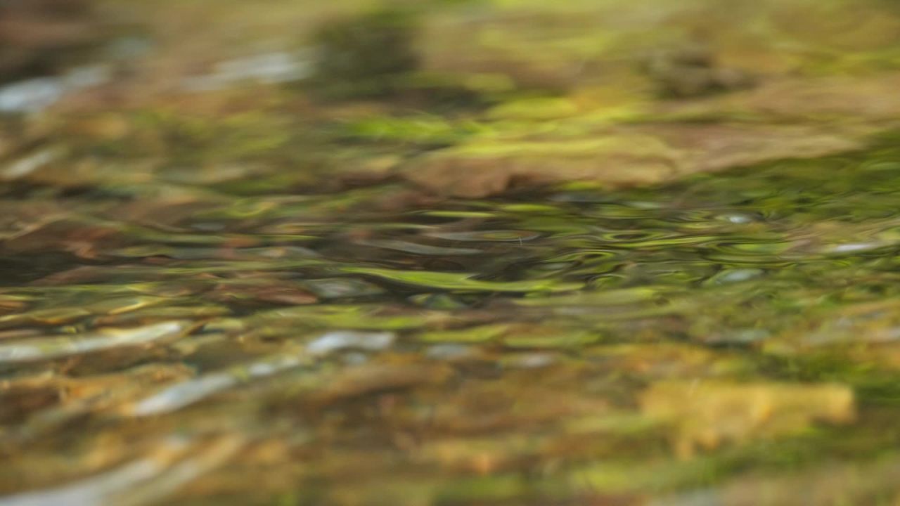 山泉水矿泉水潺潺小溪流水瀑布 49