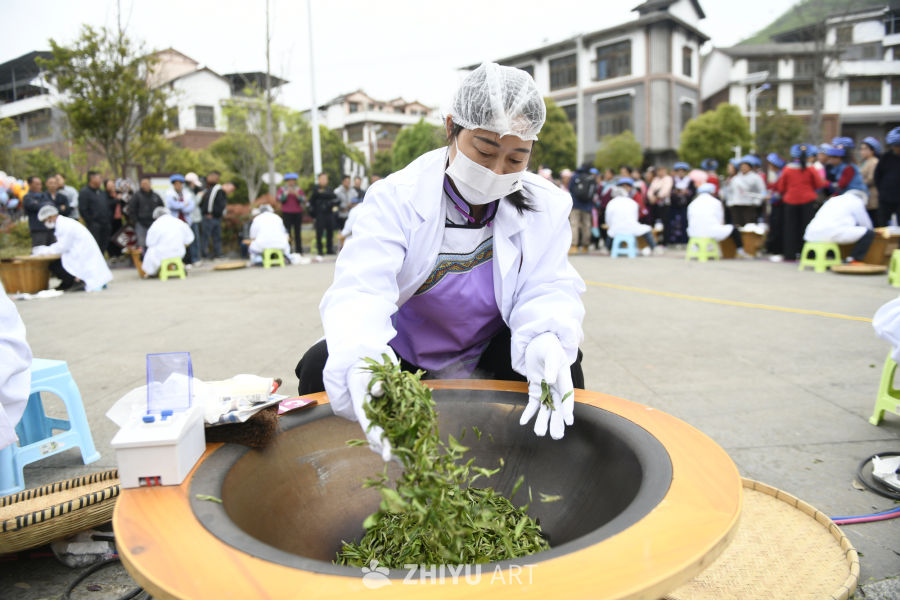 手工制茶 炒茶  茶叶产业 8