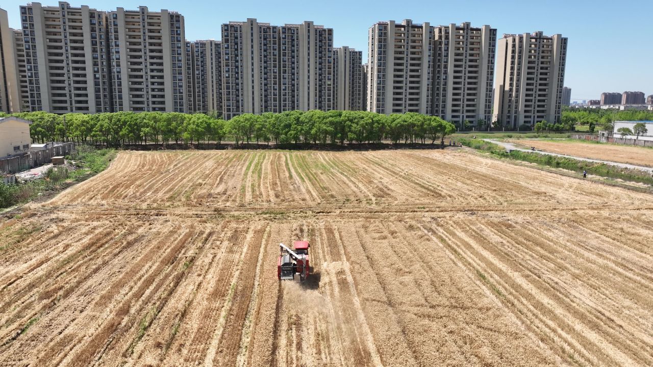 4K航拍昆山农业夏收 38