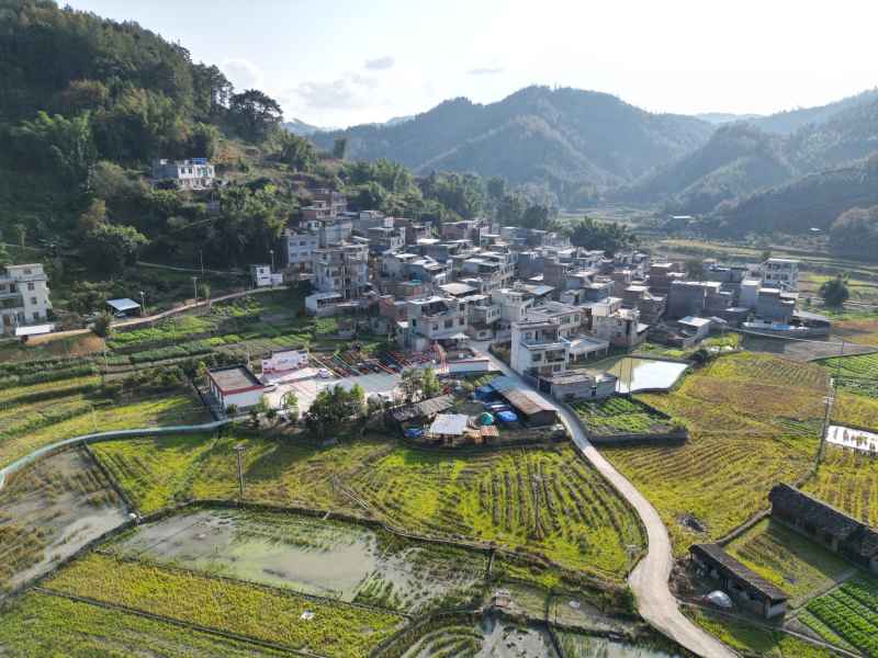 乡村风光图