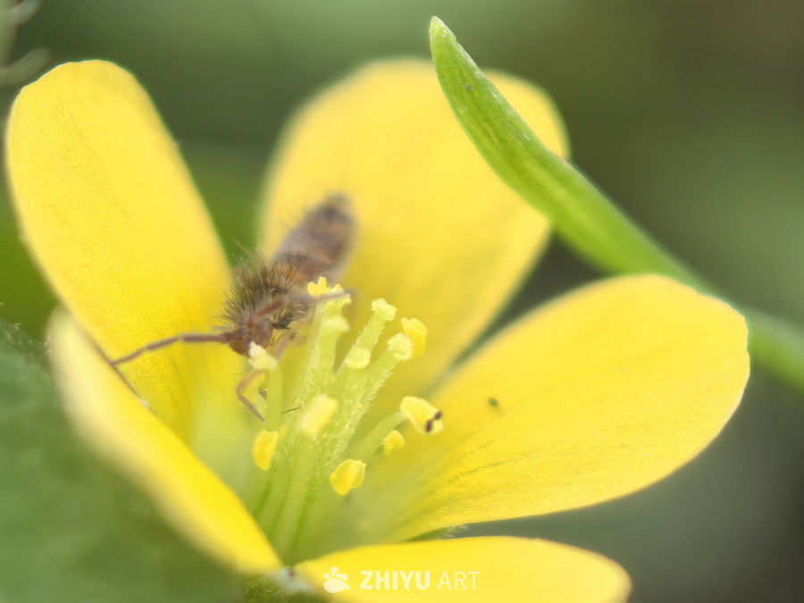 我的世界大于这世界