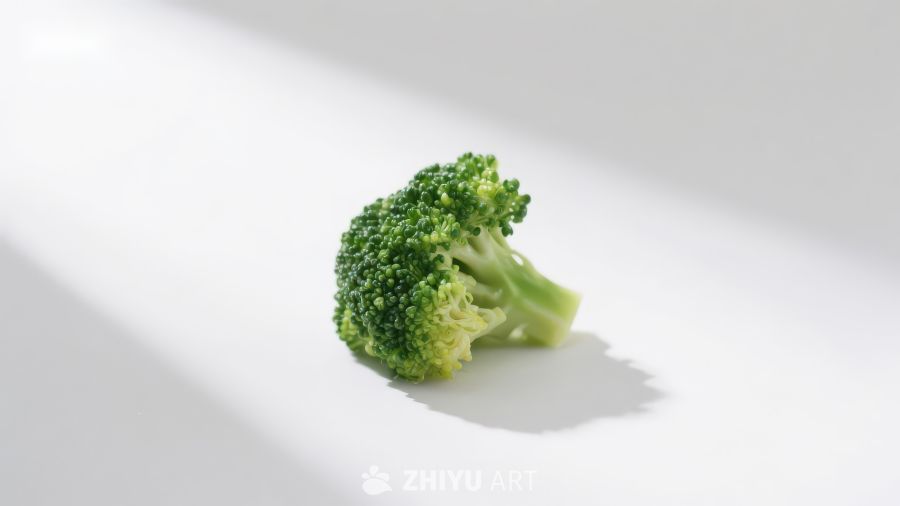 一颗西兰花置于白色背景上