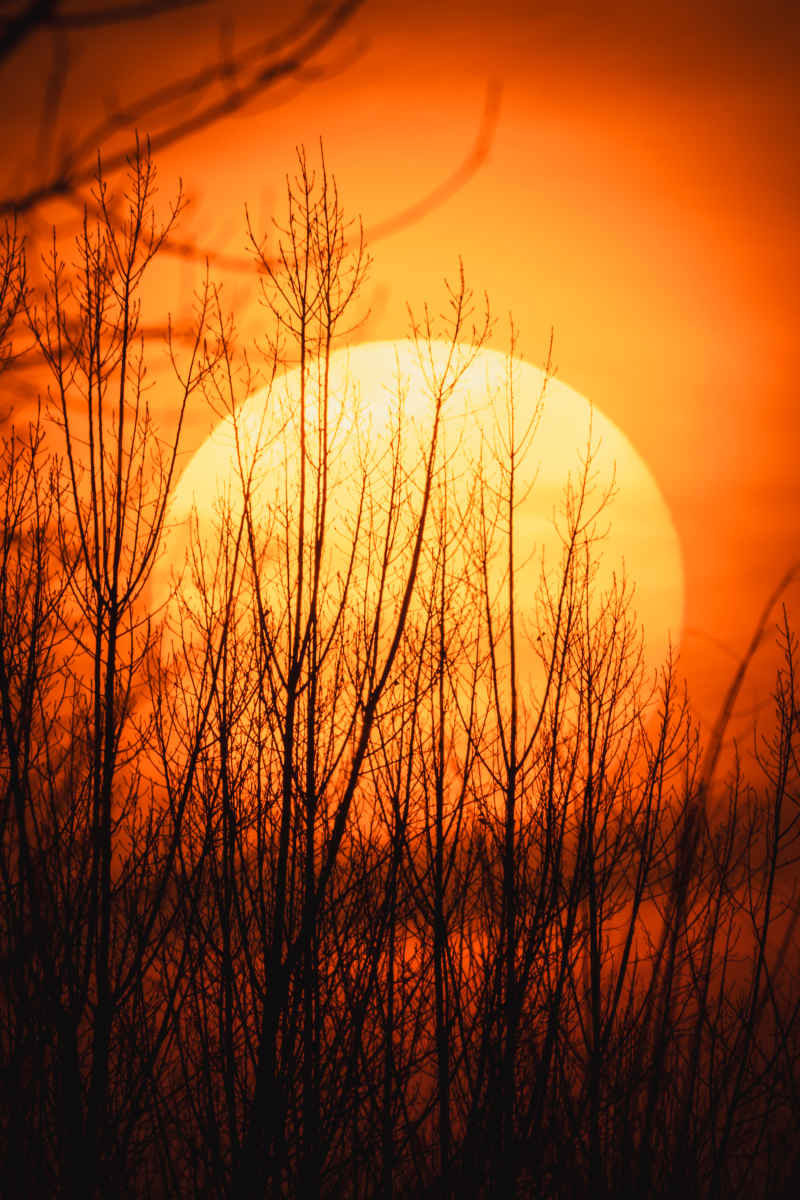 夕阳 6