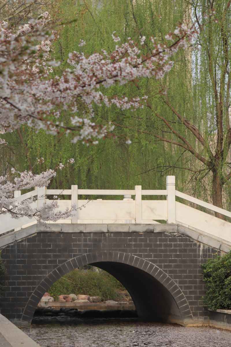春日美好校园随拍 41