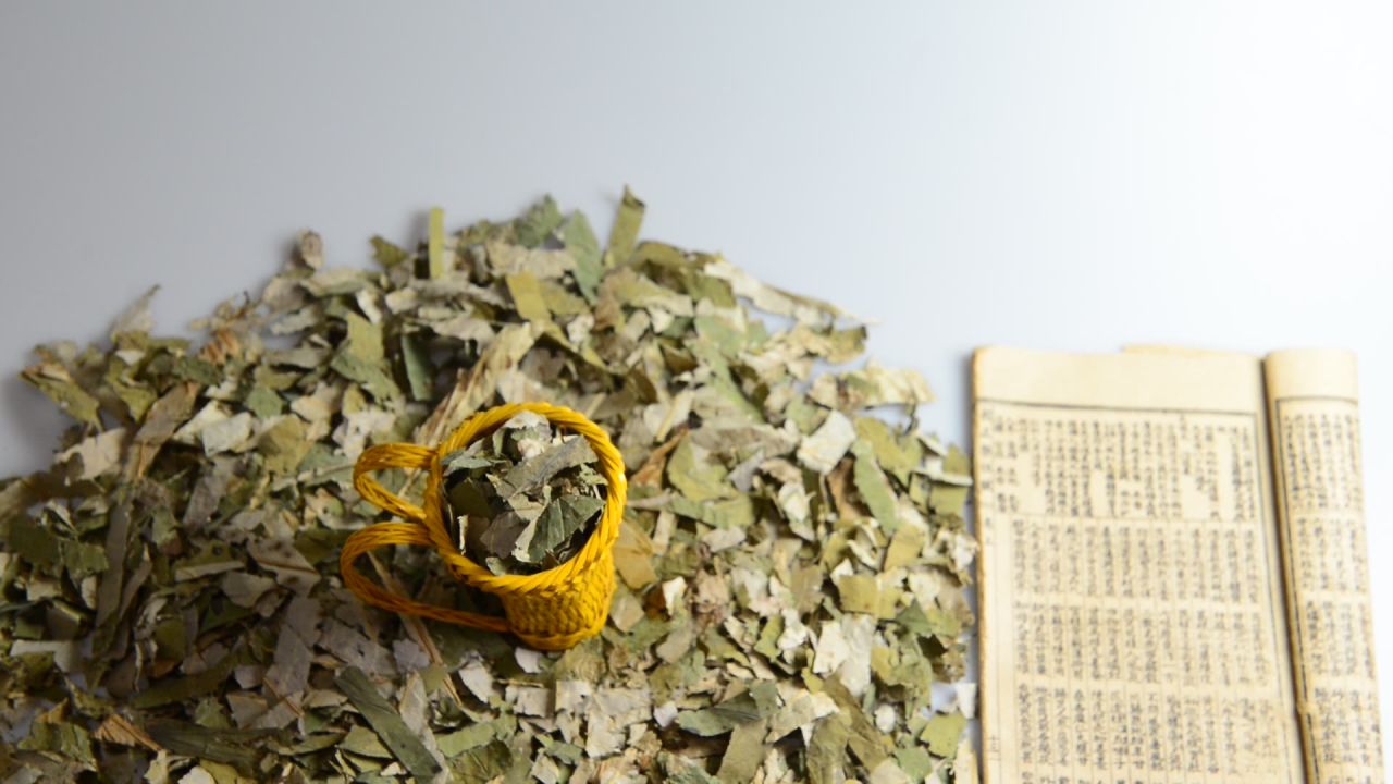 荷叶中药材 23