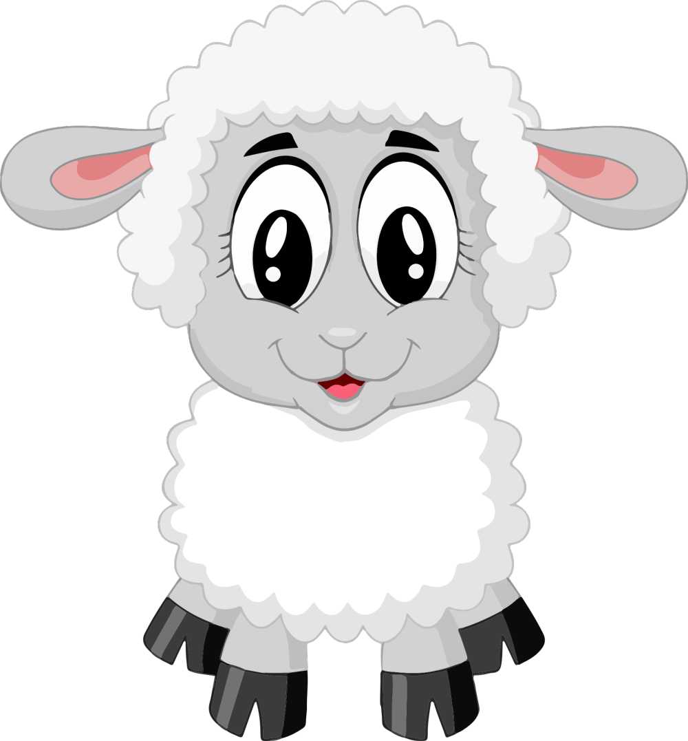 羊肉羊可爱农场动物婴儿卡通