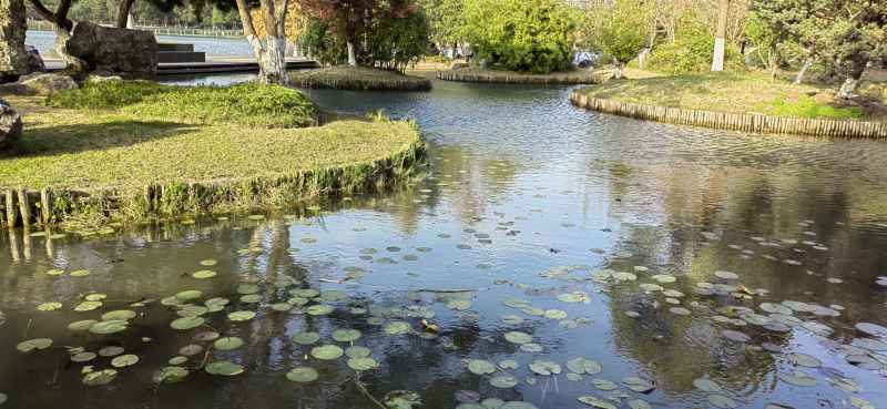 秋日平静湖面2