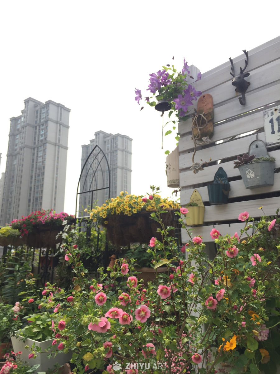 城市中的屋顶花园