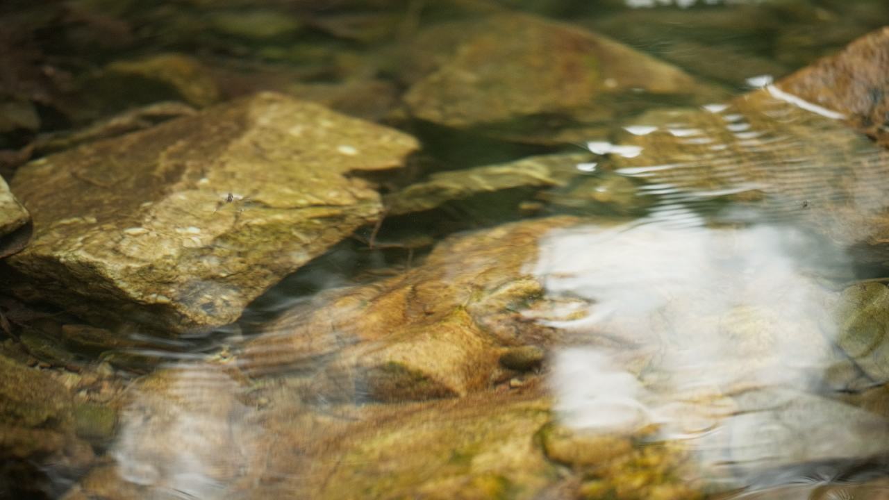 山泉水矿泉水潺潺小溪流水瀑布 42
