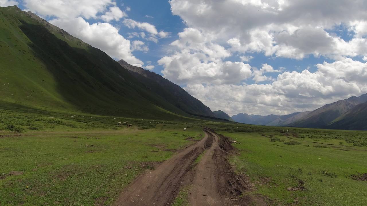 山间草地的宁静时光