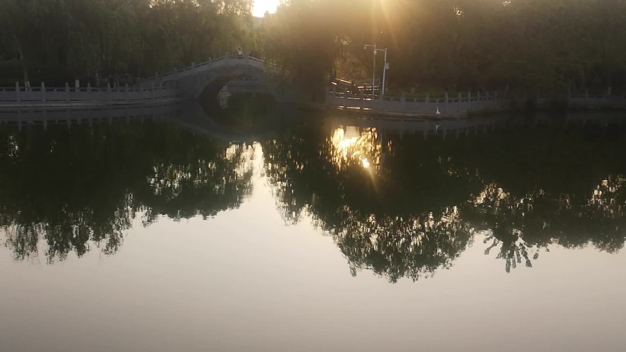 湖光树影的宁静时光