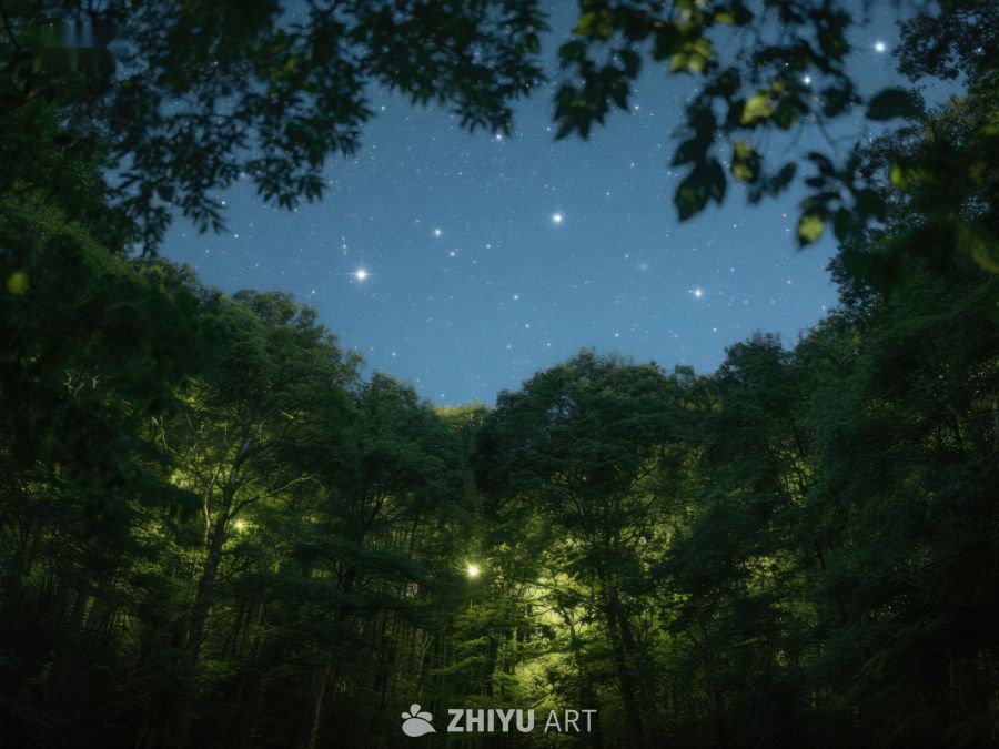 夜空下的森林，星光闪烁 357