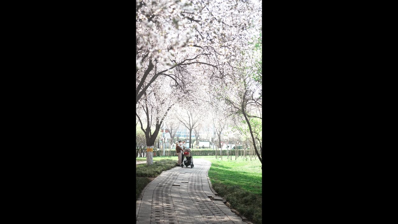 春天，老人带着孩子在公园里赏花