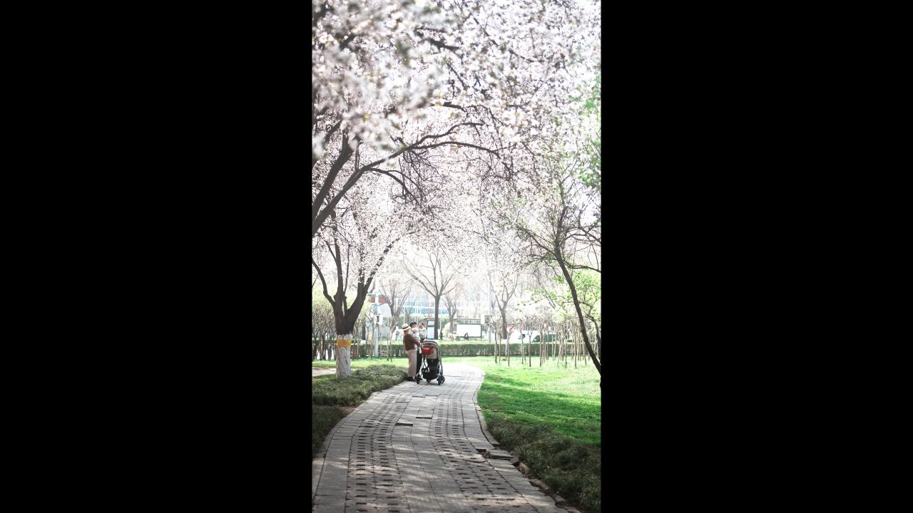 春天，老人带着孩子在公园里赏花
