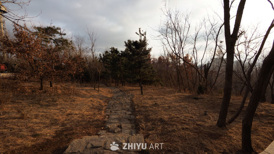 石板小径的秋日静谧