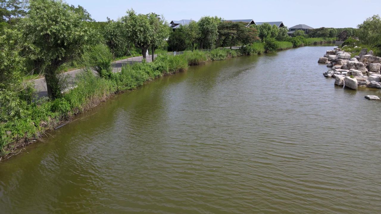 水面飞过
