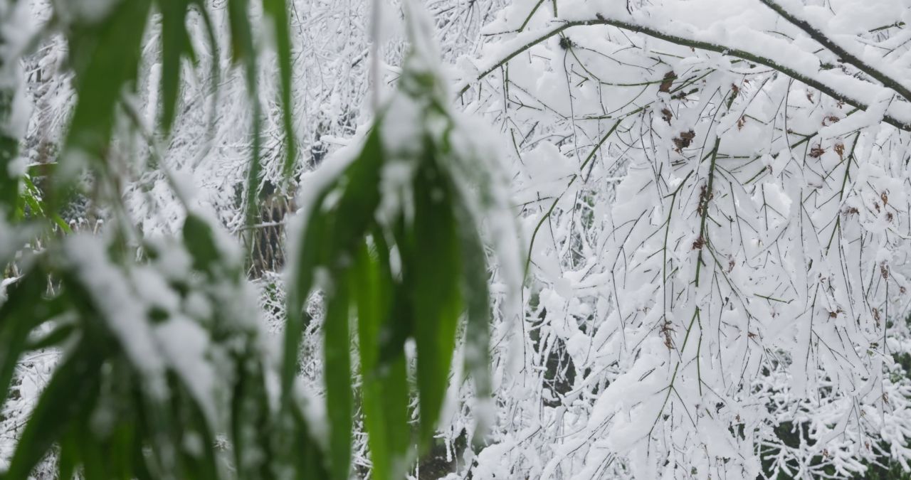 湖南长沙岳麓山爱晚亭城市雪景风光 11