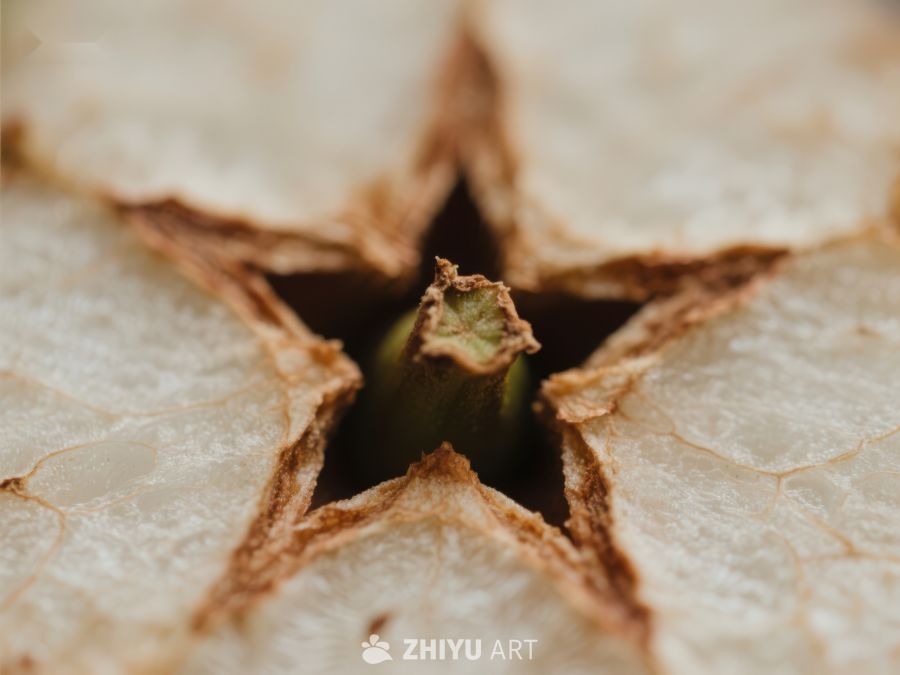 干裂土壤中的嫩芽 207