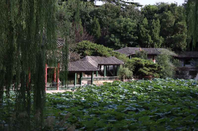 春游随拍1 4