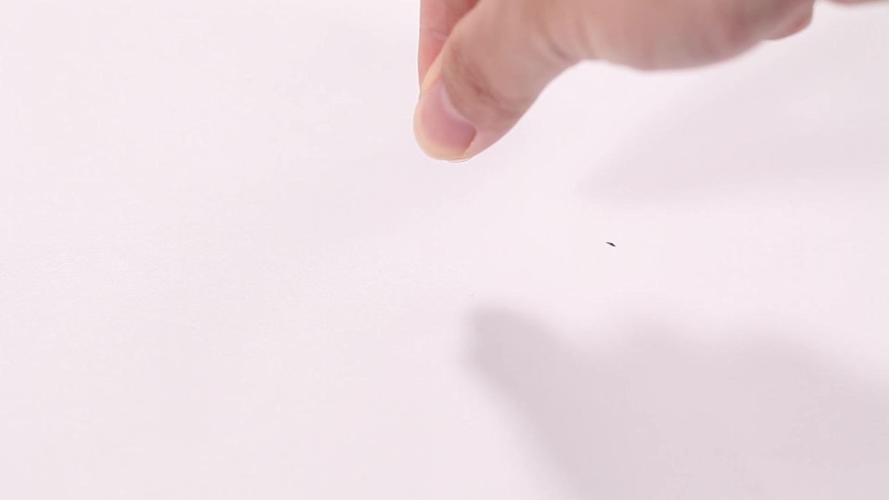 小苦茶空镜绞股蓝