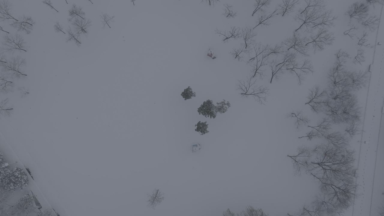 雪中森林航拍