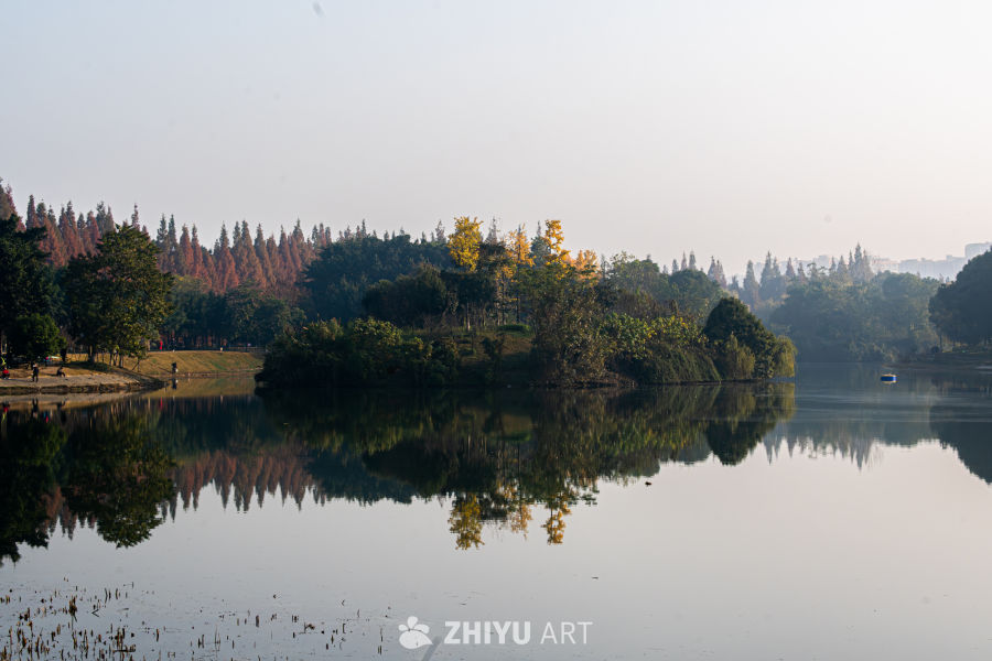 秋林映水，一半斑斓一半静