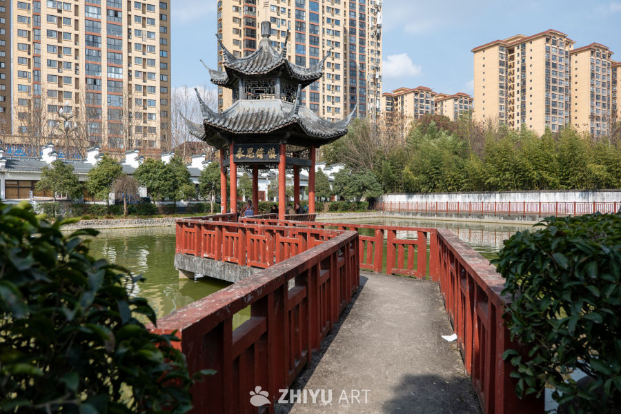 苏景园 51