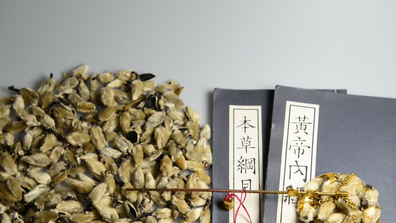中药材辛夷 29