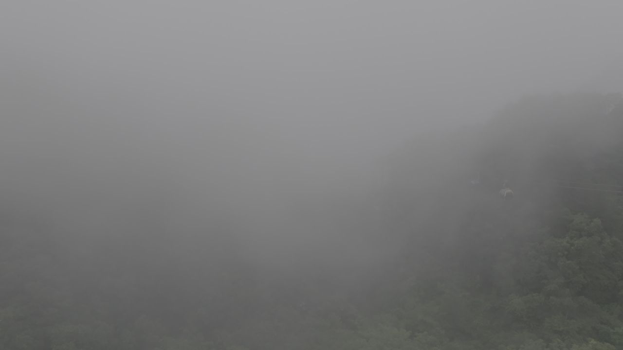 雾中停车场