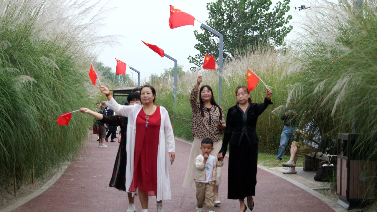 国庆江边芦苇荡 22