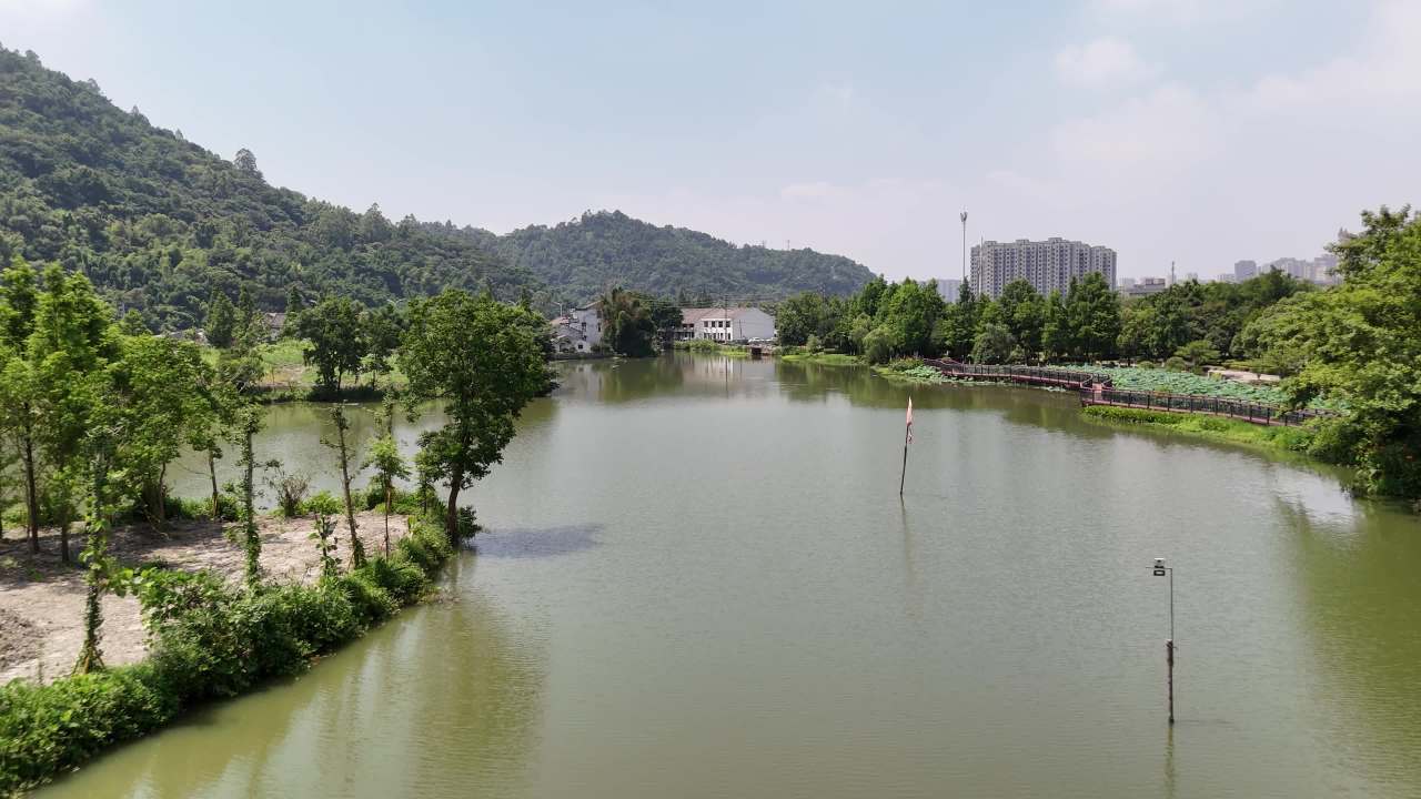 湖畔静谧风光