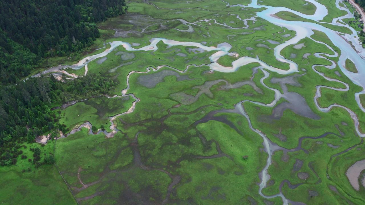 航拍夏天的西藏林芝新措河谷湿地