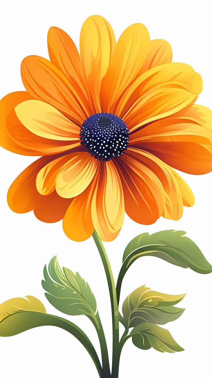 春季金盏菊扁平插画 10