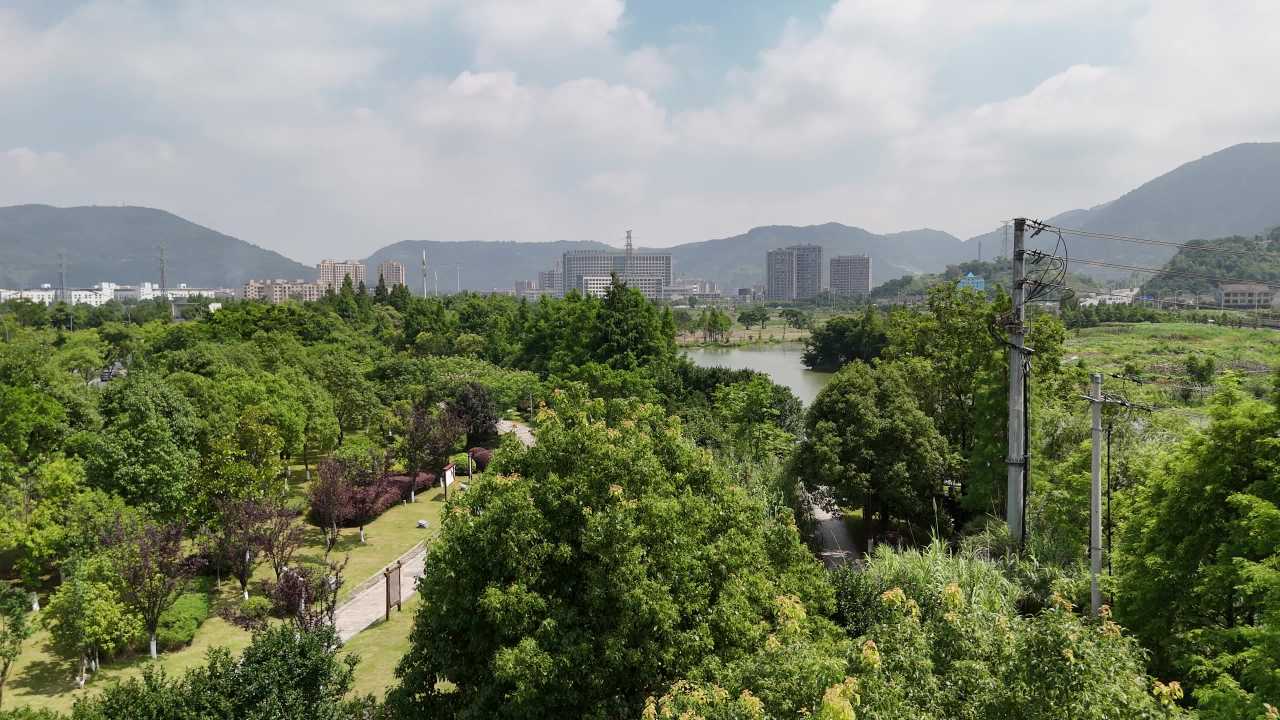 城市绿肺：公园湖畔
