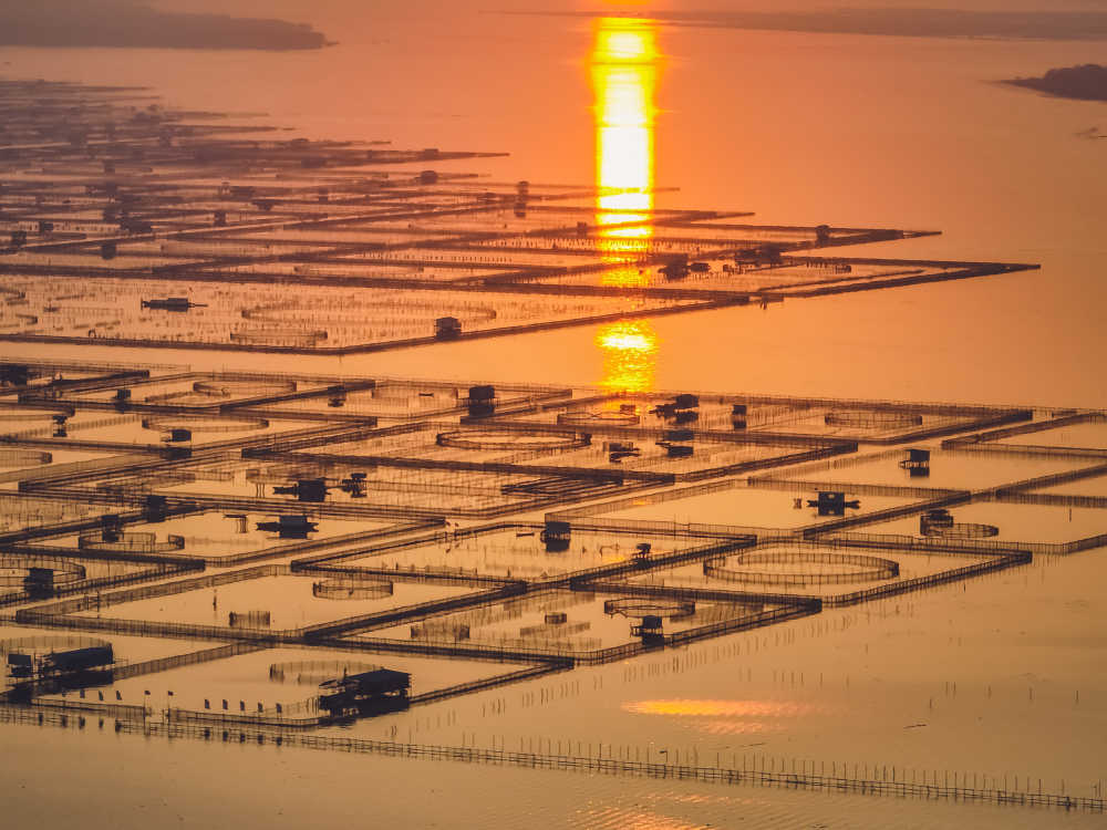 航拍阳澄湖