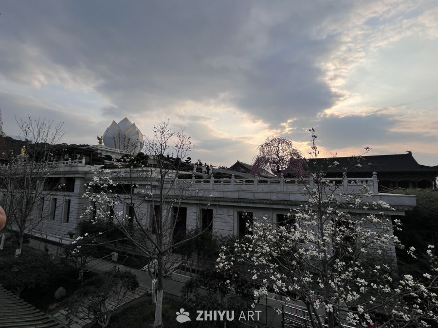 夕阳下的莲花建筑与花海