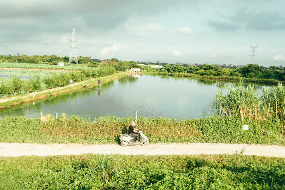 乡村路上的风景