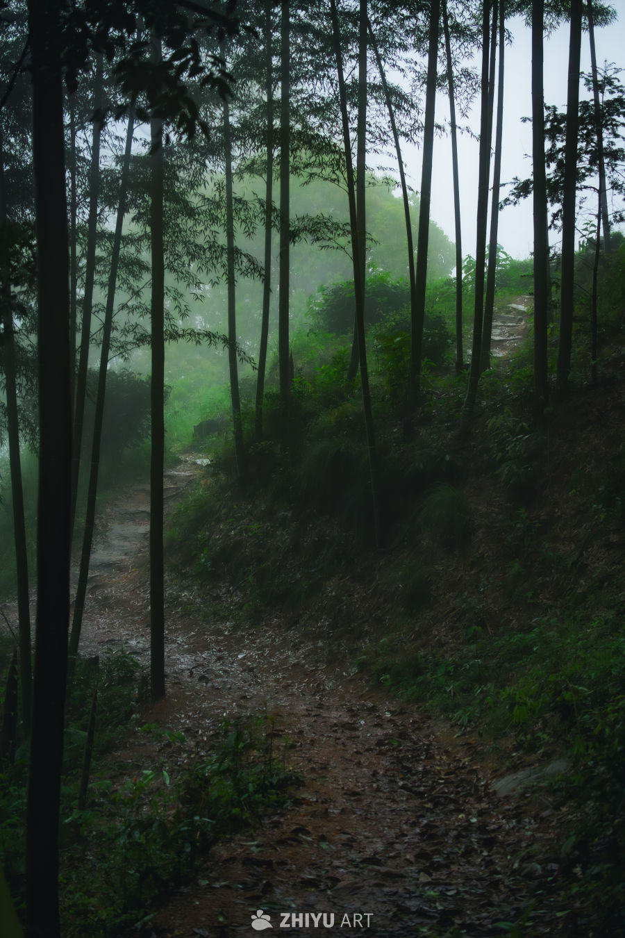 山中小径
