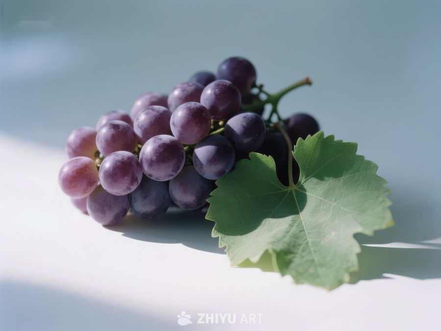 新鲜葡萄与绿叶的静物特写 576