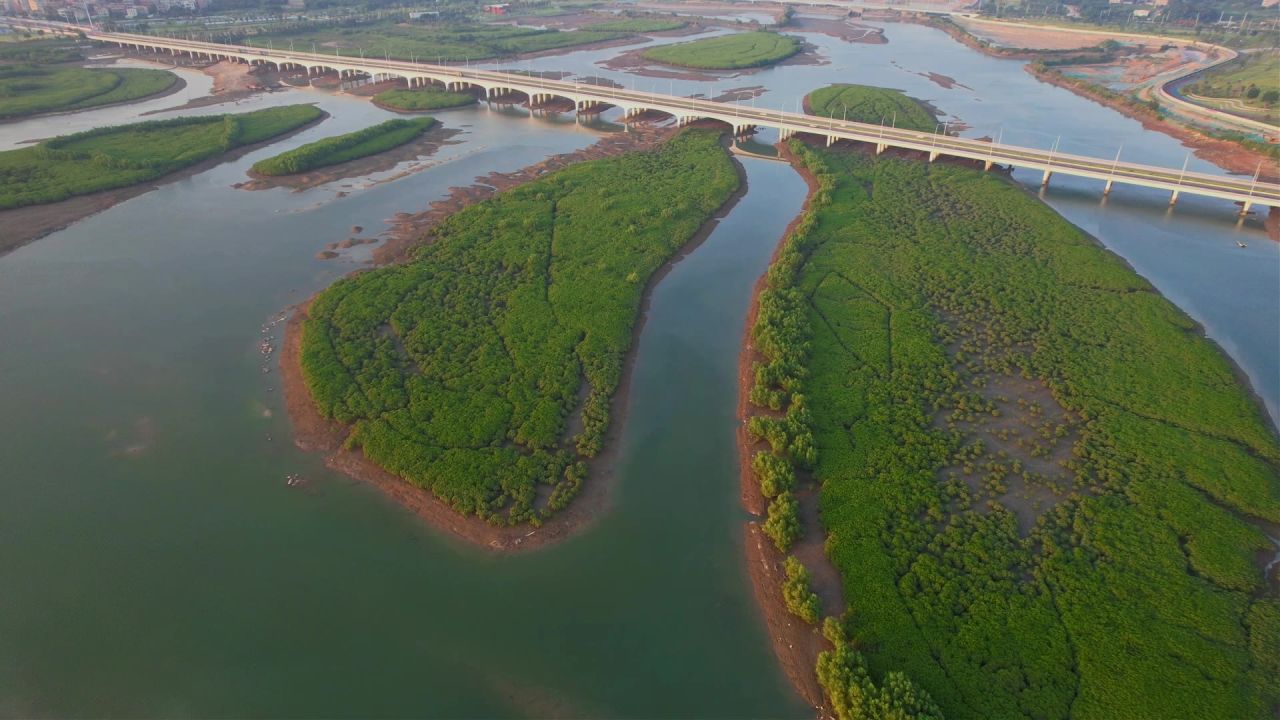 厦门航拍下潭尾湿地公园景观