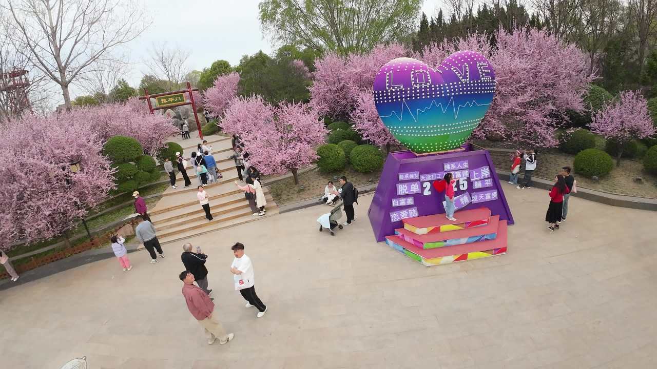 春天的樱花公园