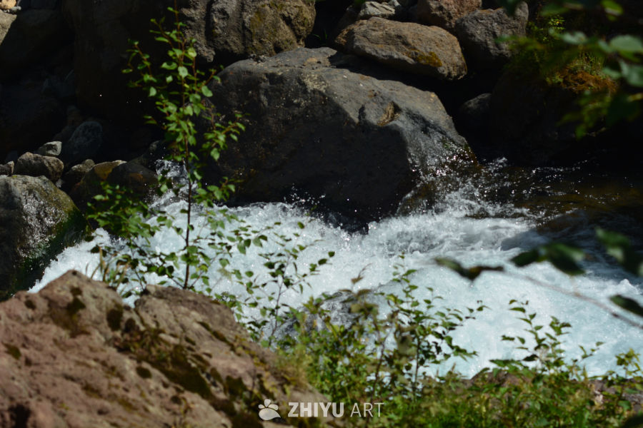 溪流潺潺，绿意盎然