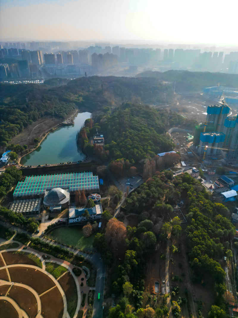 湖南省植物园航拍摄影图
