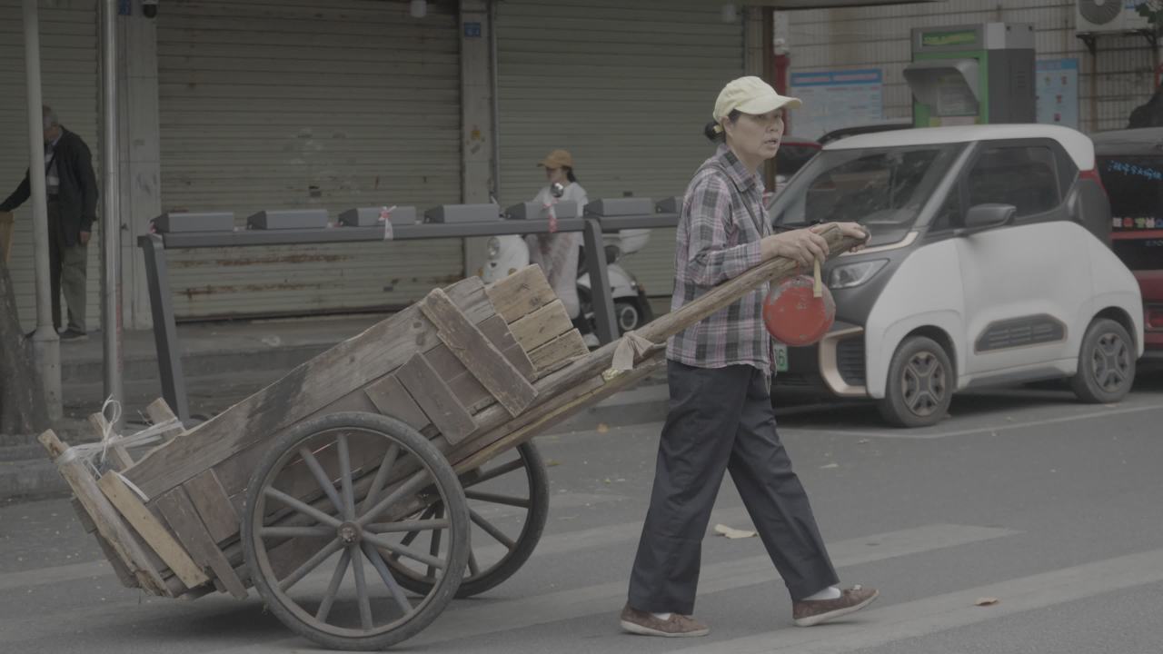 紫荆花 1